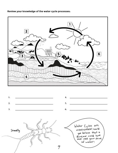 Water-Cycle-Quiz - WMEAC