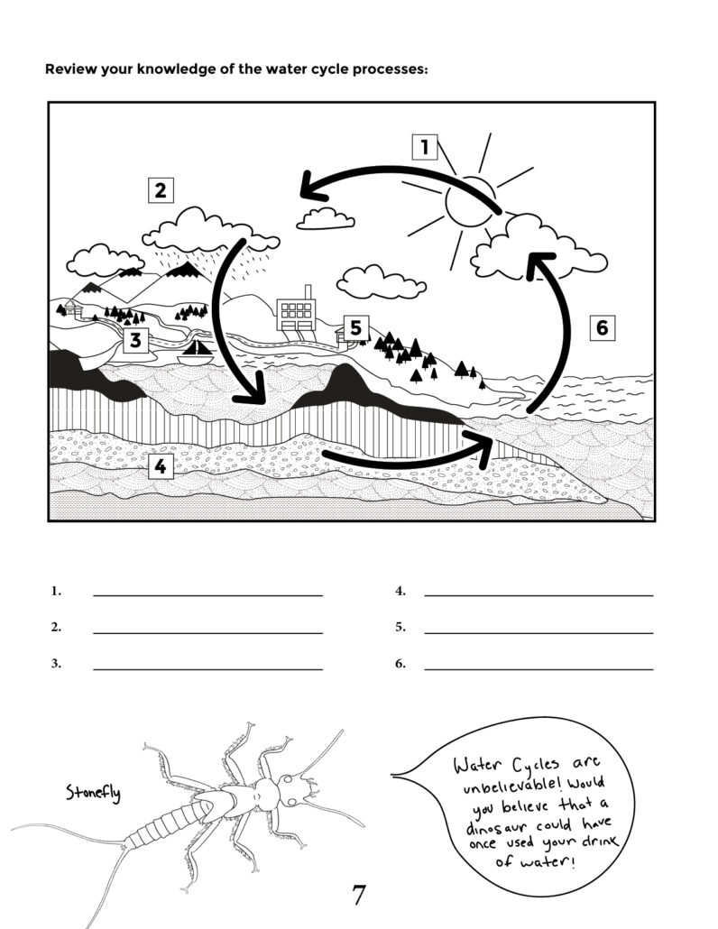 Water-Cycle-Quiz - WMEAC