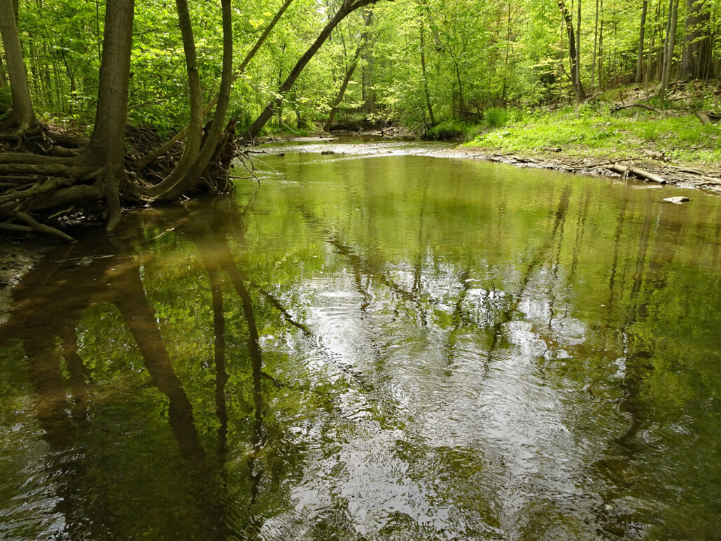 Image of the Rouge River
