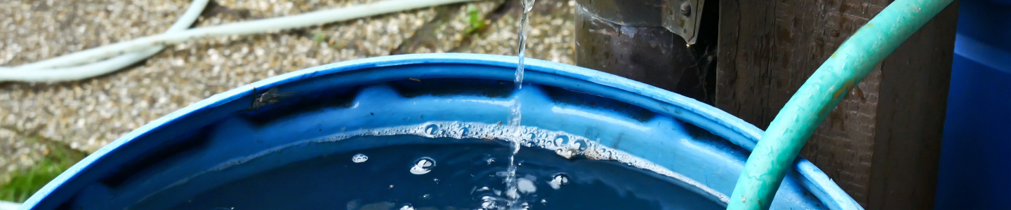 Rain barrel collecting water