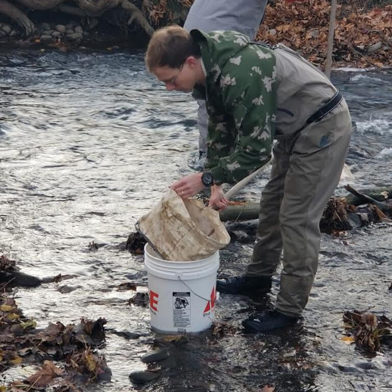 Stream Keeper Josh empties his dip net into the collection bucket.