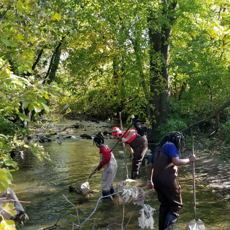 WMEAC staff member Carlos Calderon helps students collect aquatic macroinvertebrates from Coldbrook Creek.