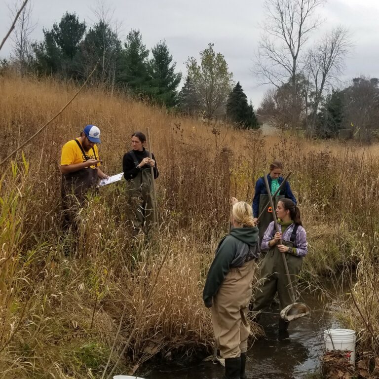 WMEAC staff member Carlos (left) and Stream Keepers from Plaster Creek Stewards survey the habitat conditions in Shadyside Park.